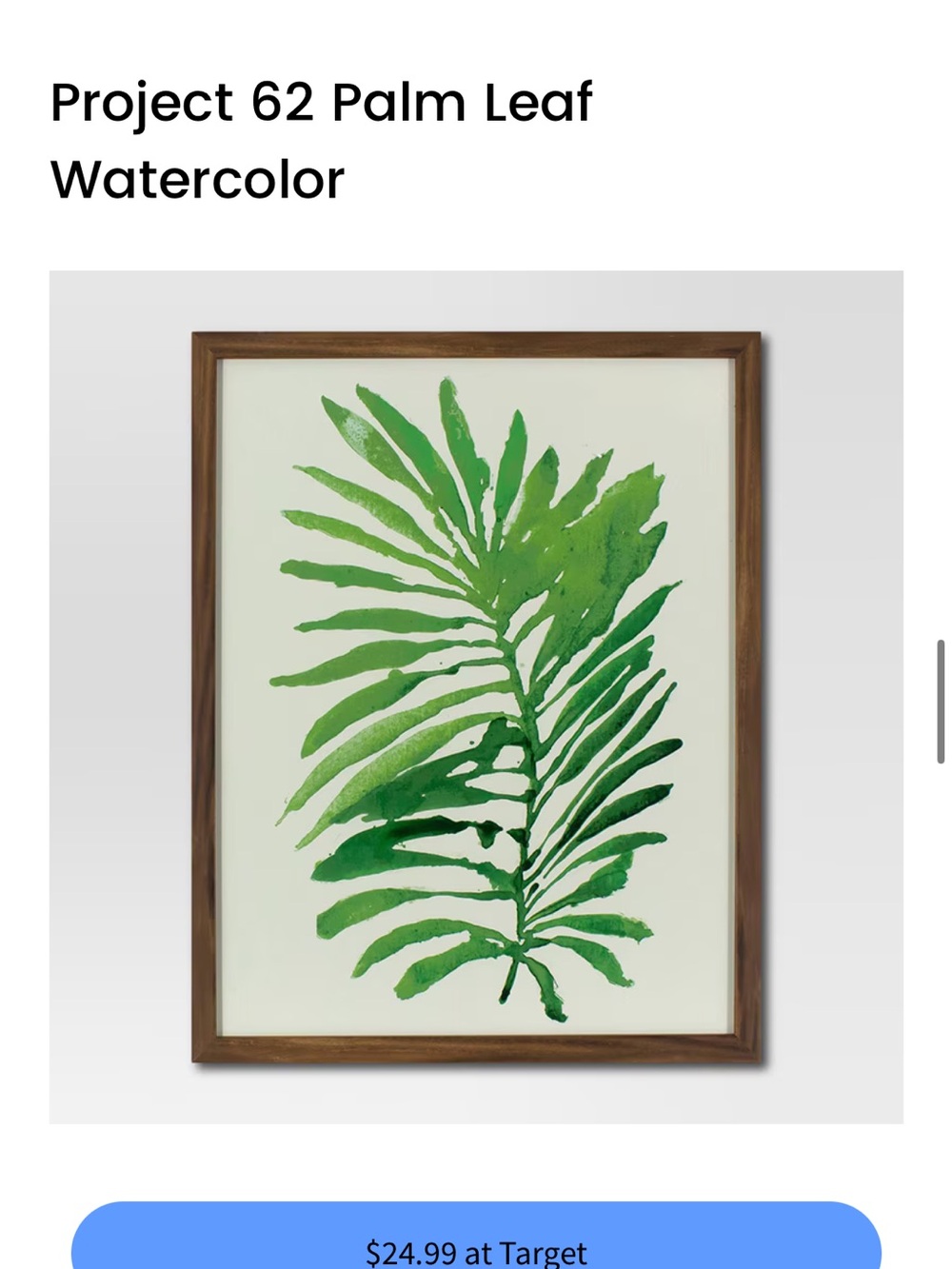 Project 62 Green Palm Leaf Watercolor Print